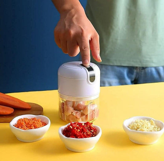 Mini Electric Food Chopper