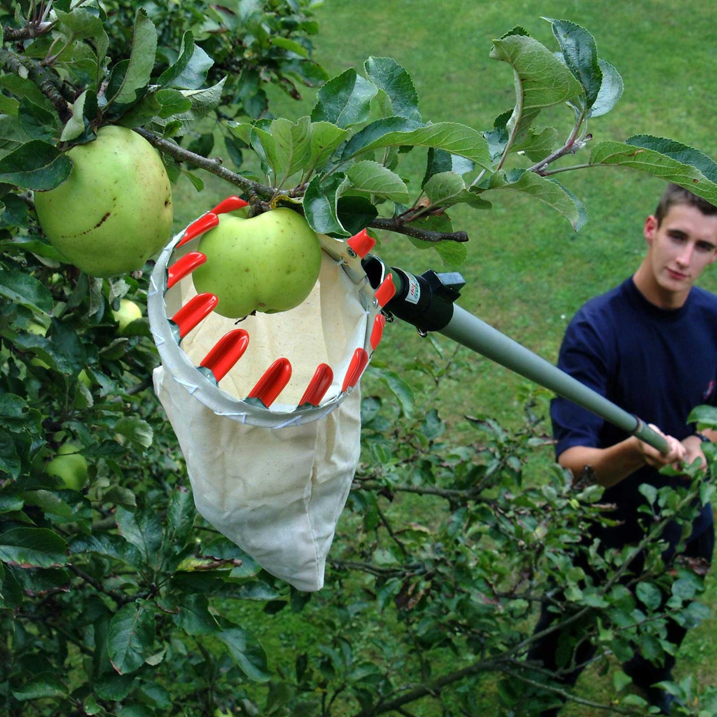 Fruit Picker Basket Tool